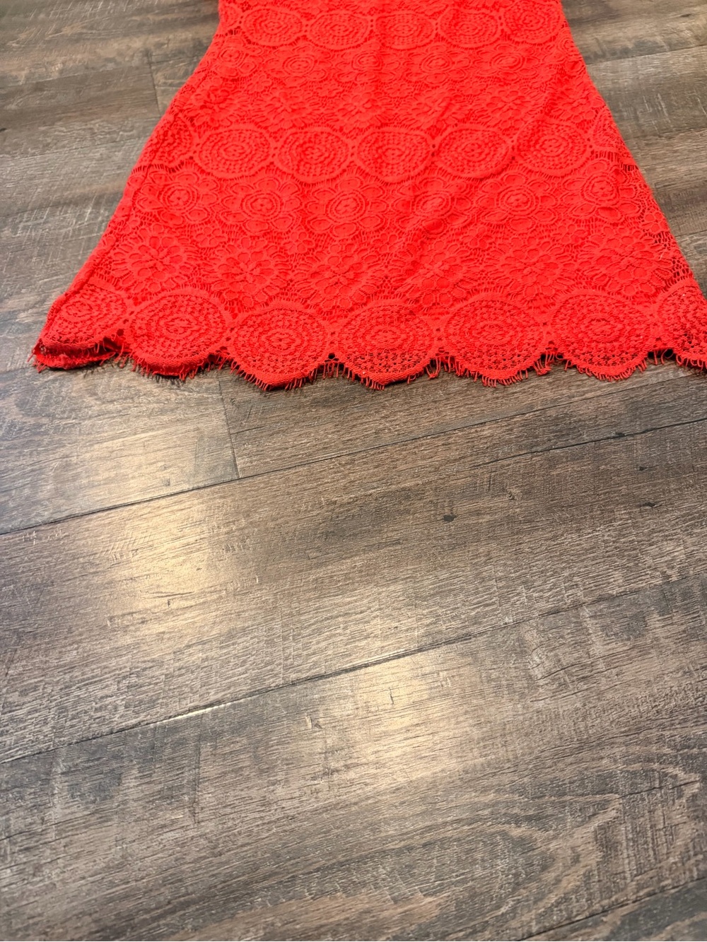 Laundry by Shelli Segal Lace Sheath Dress Size 6 Coral Red Scalloped Hem - Picture 3 of 8